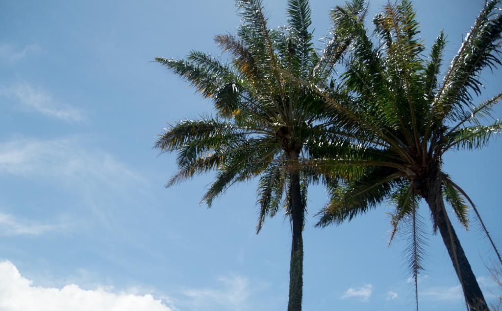 Pousada Vila Flor Da Mata Trancoso Exteriör bild
